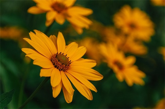 安全家人寄语 【安全家人寄语怎么写】