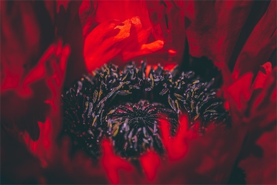 高中教师寄语简短对个人-53句