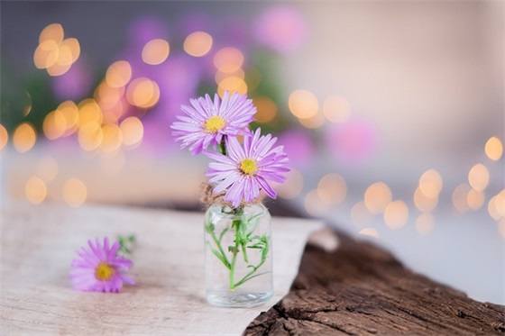 有关幼儿园孩子刚学习寄语-50句