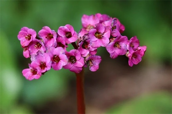 简短的新学期家长寄语-52句