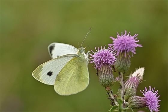 祝福寄语 精简给孩子-60句