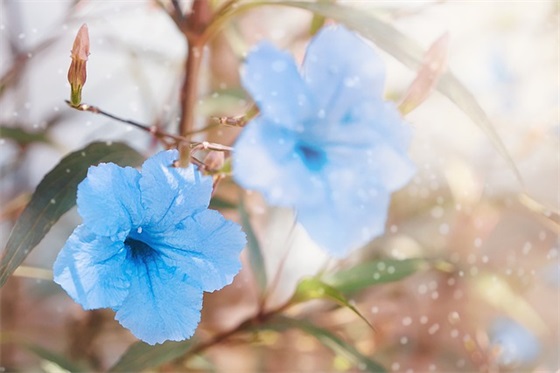 给从小到大女儿的生日寄语-57句