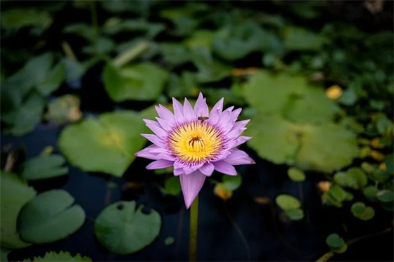 妈妈给孩子幼儿园毕业寄语-54句