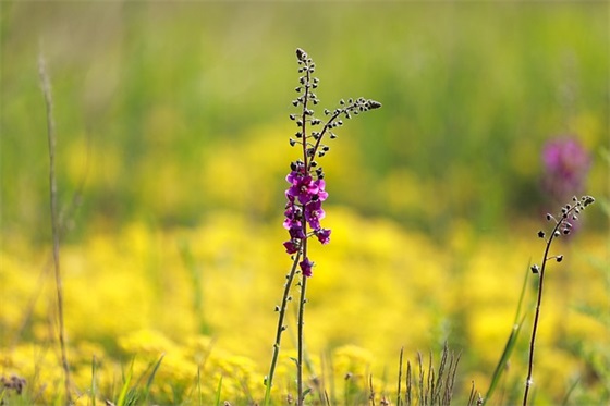给幼儿园毕业儿子的成长寄语-54句