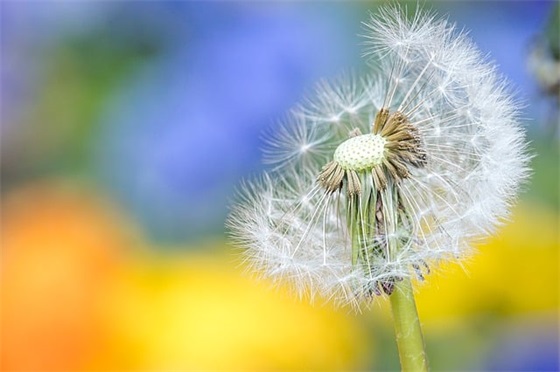 家长的鼓励和希望寄语一年级-51句