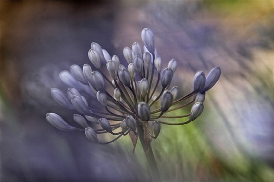 幼儿园家长对幼儿的寄语-56句