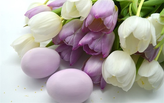 初一老师寄语大全-57句