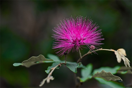 对大学生生日激励寄语-60句