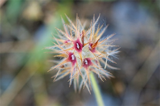 宝宝幼儿园成长寄语唯美句子-63句