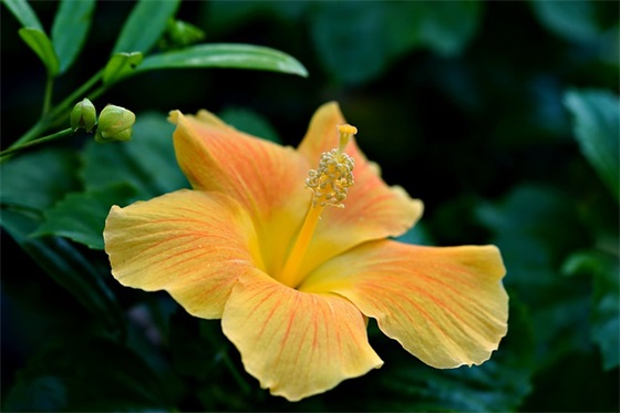 幼儿毕业照寄语简短-55句