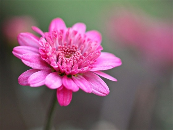 在毕业照上写一句寄语-66句 在毕业照上写一句寄语-66句