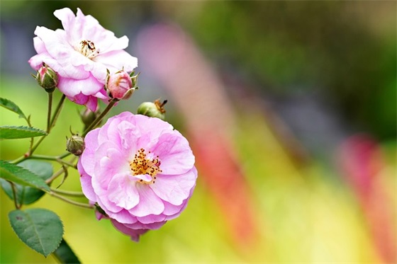 高考寄语简短-73句