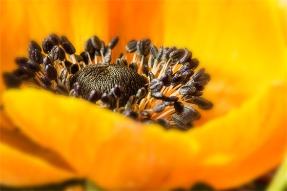 幼儿园毕业家长寄语50字以内-51句