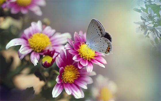 中班儿童寄语简短-50句