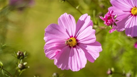 新年礼物寄语一句话-58句