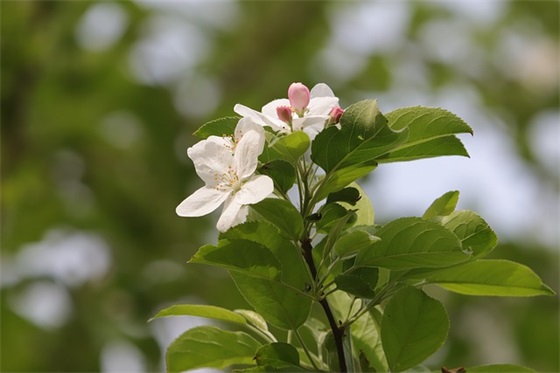 毕业给孩子的成长寄语-51句 毕业给孩子的成长寄语-51句