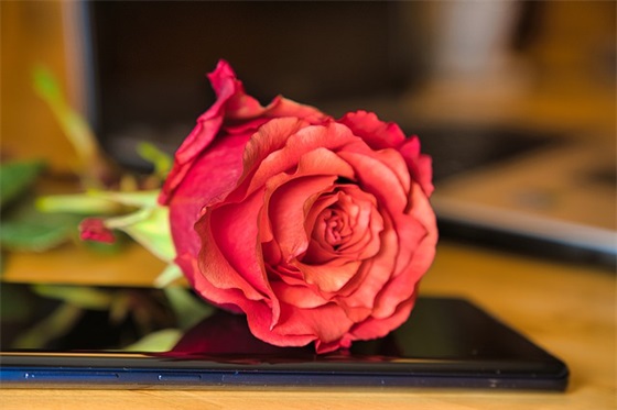 大班毕业寄语短句-56句