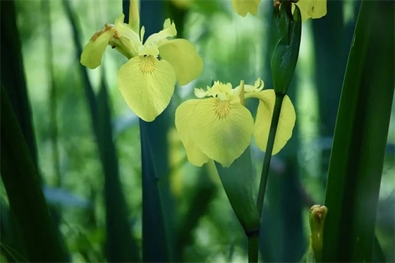 搞笑而伤感的句子摘录 搞笑伤感长段子