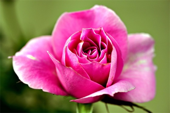 2025关于励志高考的句子英语版