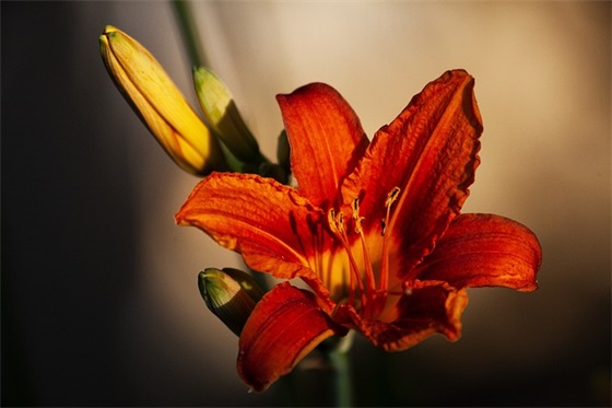 过年伤感句子文案 怕过年伤感句子