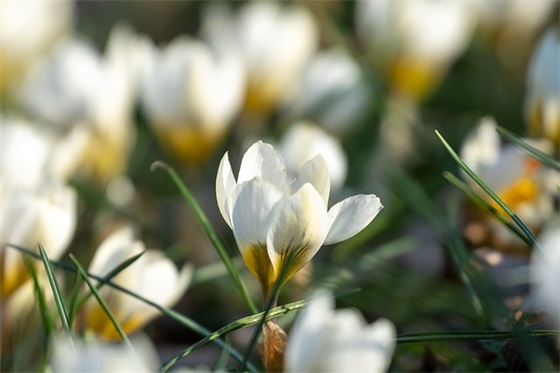 女儿生日简单一句话 适合在女儿生日发的句子精选