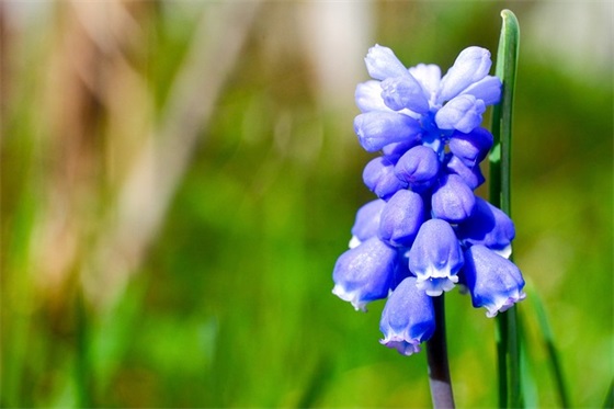 关于善良的优美句子