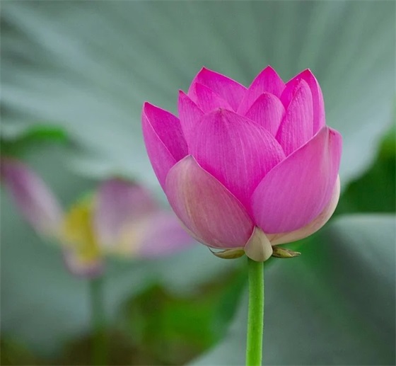 海誓山盟的爱情句子55句 海誓山盟的爱情句子55句