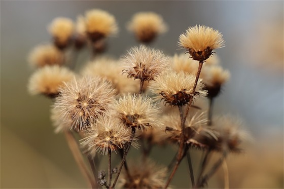 被爱情伤到心痛的昵称(优选302个)