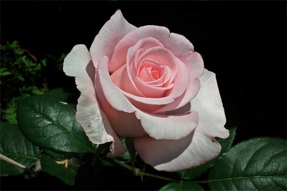 网名大全2025最新版的女生(共306个)