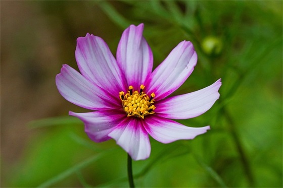 男女都可以用的网名(299个)