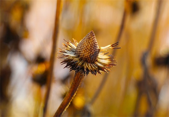 幸福温馨的情侣网名(优选199个)