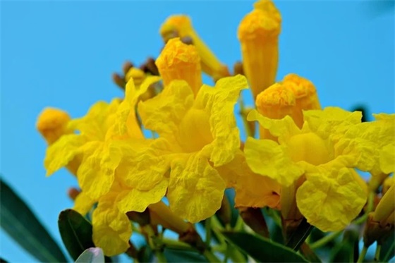 霸气个性签名男生超拽