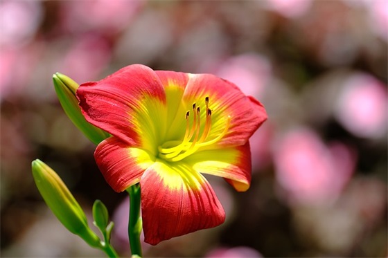 个性另类微信昵称290个，独一无二的微信名字大全