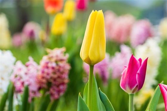 一眼就知道是情侣的网名(共186个)