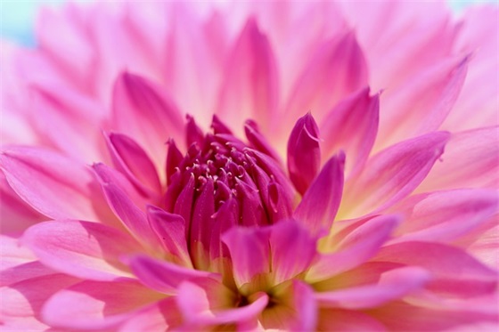 最酷的情侣网名(精选188个)