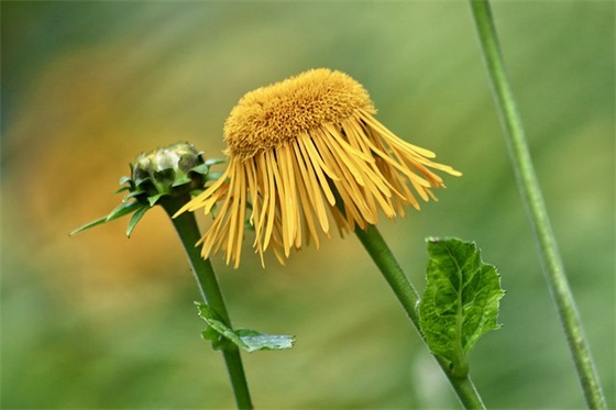 个性游戏名字男带符号