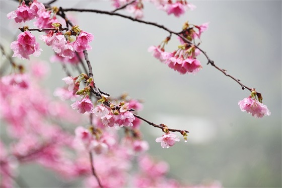 搞笑欠揍的王者名笑死人女生