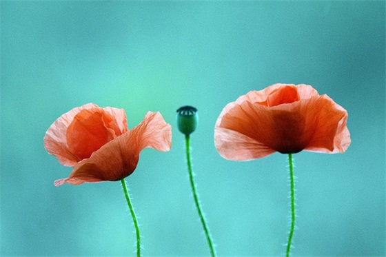 游戏名字四个字成语霸气