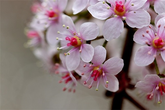 好听的游戏名字男诗意