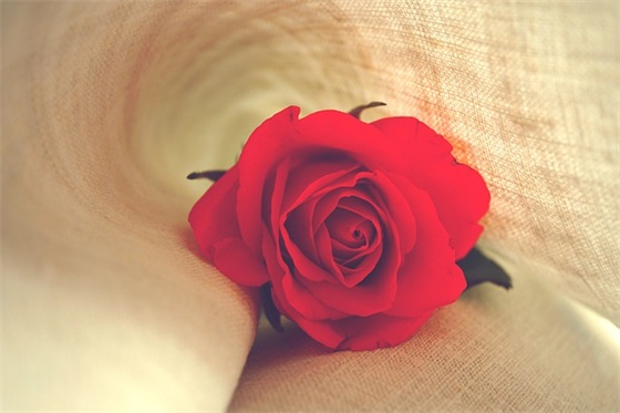 好听的女孩名字姓石