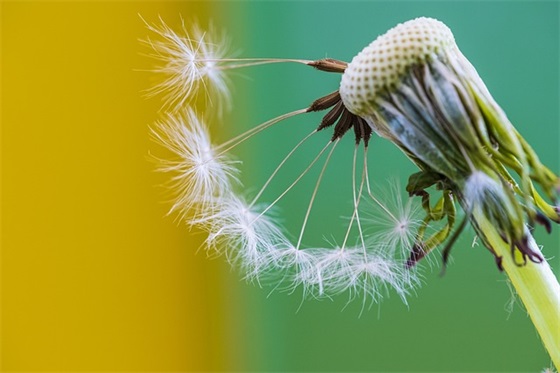 散文精美句子摘抄 散文精美句子摘抄