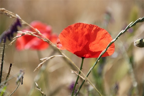 留言暖心句子简短53句