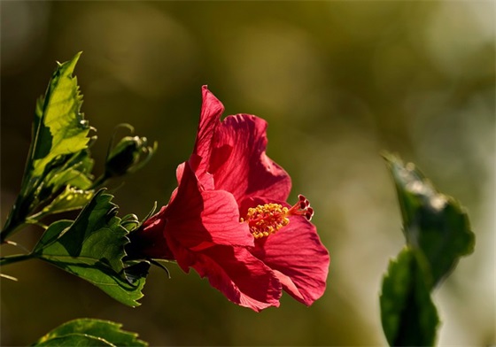 关于军训的优美句子锦集55句