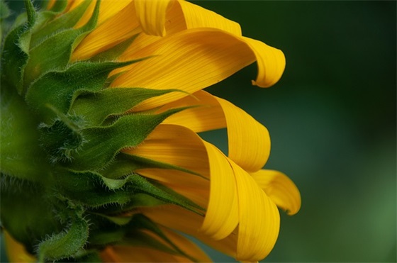 想要安静的句子精选280句