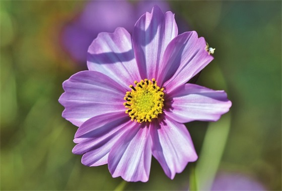 三十岁感悟人生的经典语录通用56条