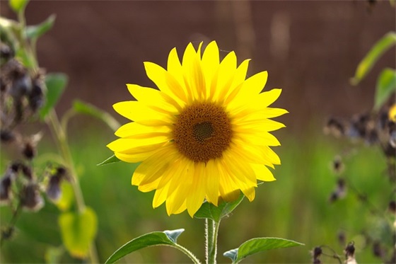 描写古香古色的建筑物的句子精选107句