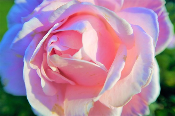 我只想宠着你的句子精选218句