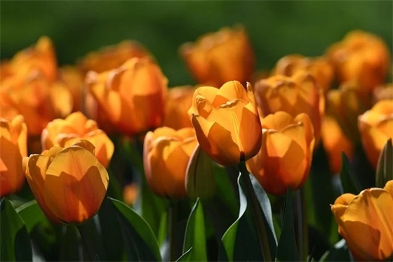 休闲时休闲时光的心情的句子精选12句