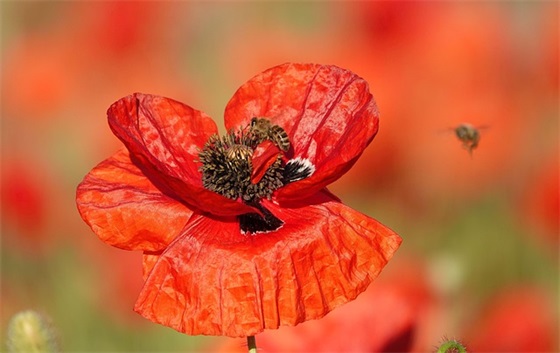 扎心语录情感语录