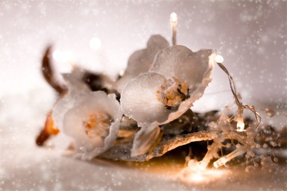 杀马特的句子65条